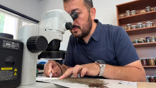 BARÜ'den bilim dünyasına yeni bir bitki türü kazandırıldı