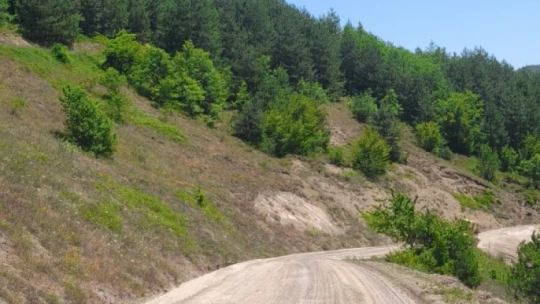 İl Özel İdaresi'nden altyapı, yol ve temizlik atağı