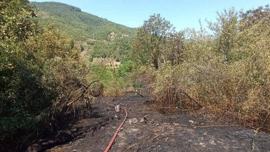Hocaköyü'ndeki orman yangınına hızlı müdahale