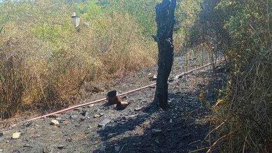 Hocaköyü'ndeki orman yangınına hızlı müdahale
