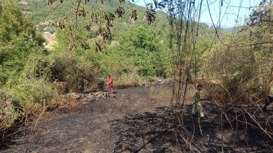 Hocaköyü'ndeki orman yangınına hızlı müdahale