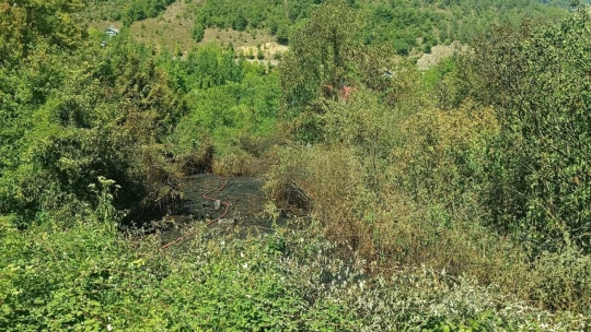 Hocaköyü'ndeki orman yangınına hızlı müdahale