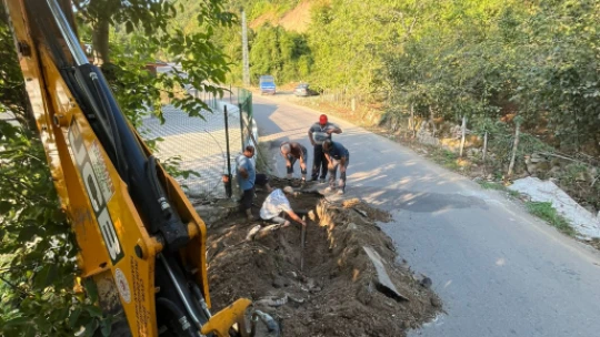 Özel İdare'den sahil temizliği