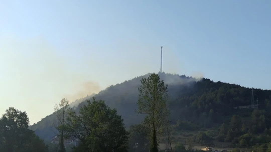 Havadan Karadan Müdahale Bartın'da Yangın Söndürüldü