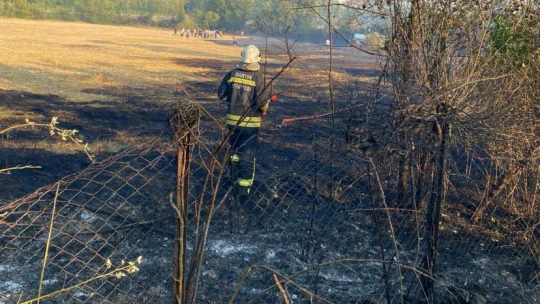 Havadan Karadan Müdahale Bartın'da Yangın Söndürüldü