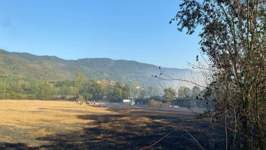 Havadan Karadan Müdahale Bartın'da Yangın Söndürüldü