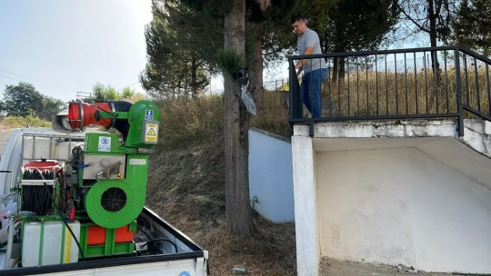 Bartın Belediyesi'nden Kahverengi Kokarca ile Mücadele
