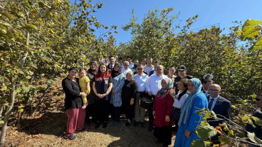 Protokol Fındık Topladı