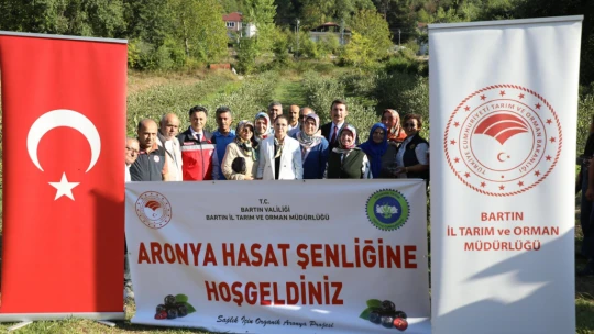 Aronya'da Hasat Zamanı