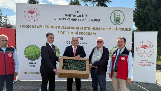 Bartın'da Çiftçilere 300 Bin Fide ile Destek