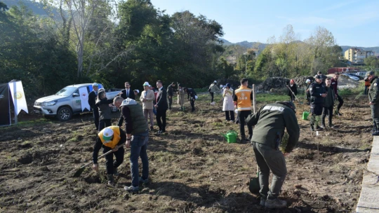Vatandaşlar ve Öğrenciler Gelecek İçin Fidan Dikti