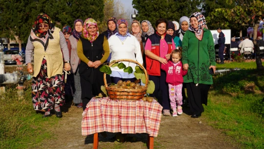Terkehaliller'de Kivi Hasat Şenliği