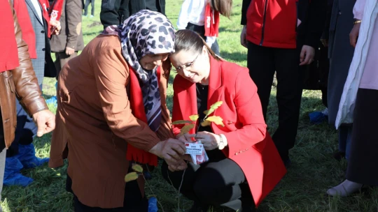 Şahne Köyü'nde Şehitlerimiz Anısına 200 Fidan Dikildi