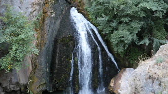Doğada bilim konuşuldu
