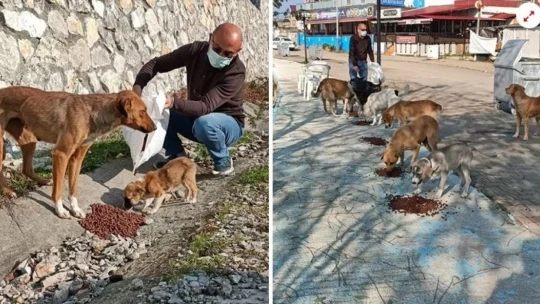Sokak hayvanları unutulmadı