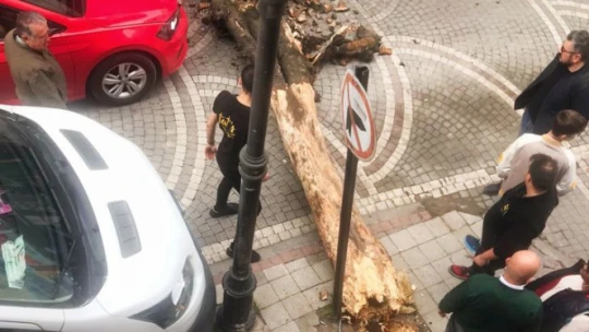 Sürücü neye uğradığını şaşırdı