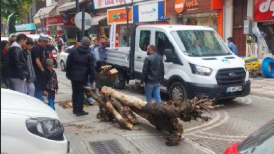 Sürücü neye uğradığını şaşırdı