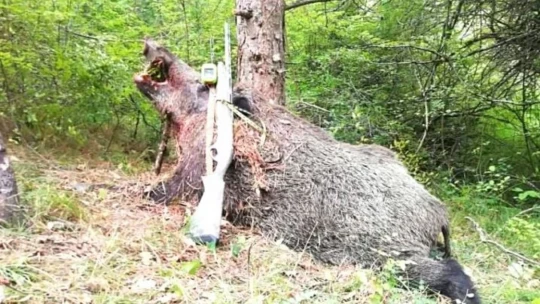 Boyutu ile görenleri şaşırttı.