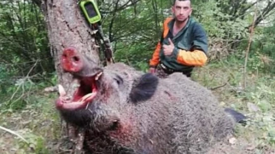 Boyutu ile görenleri şaşırttı.