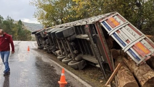 Tomruk yüklü tır devrildi
