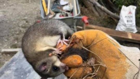 BARTIN 3. ASLİYE HUKUK MAHKEMESİNDEN