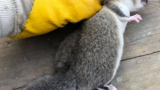 BARTIN 3. ASLİYE HUKUK MAHKEMESİNDEN