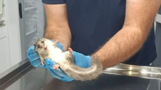 BARTIN 3. ASLİYE HUKUK MAHKEMESİNDEN