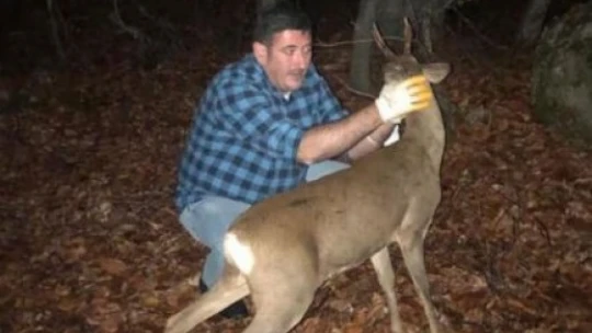 Yaralanan karaca tedavi edildi