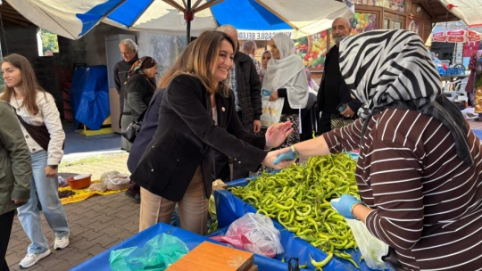 Bankoğlu Kurucaşile'de esnaf gezdi