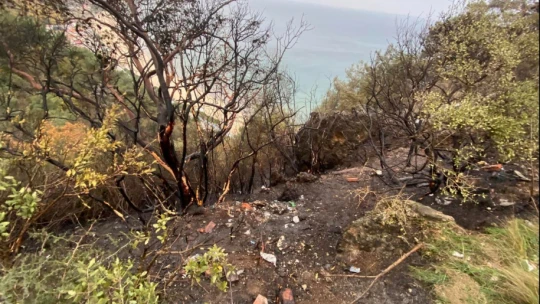 İnkumu'nda yangın çıktı