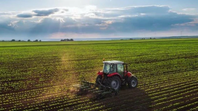 2025 Yılı Tarımsal Destek Ödemeleri Askıya Çıktı
