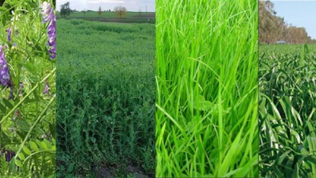 2025 Yılı Yem Bitkileri Desteği Askıya Çıktı