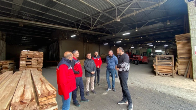 Ahşap Ambalaj Üretiminde Teknoloji ve Mühendislik İncelemesi