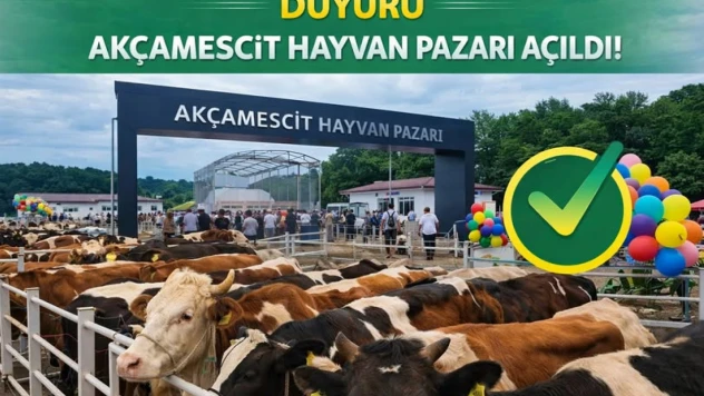 Akçamescit Hayvan Pazarı Yeniden Açıldı