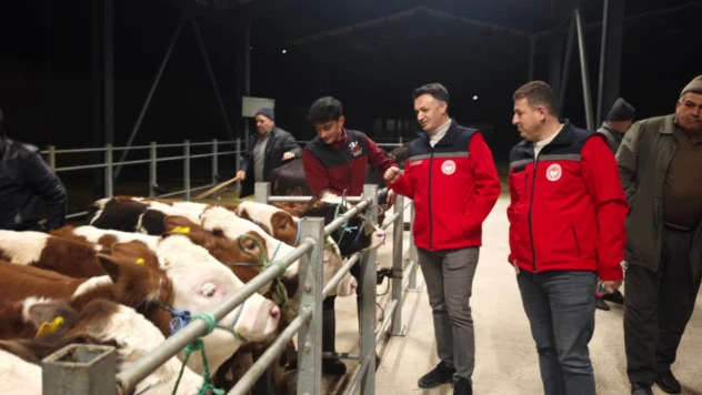 Akçamescit Hayvan Pazarında Sıkı Denetim