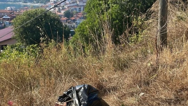 Amasra Belediyesi'nden vatandaşa çağrı Ormanları koruyalım, çöp atmayalım