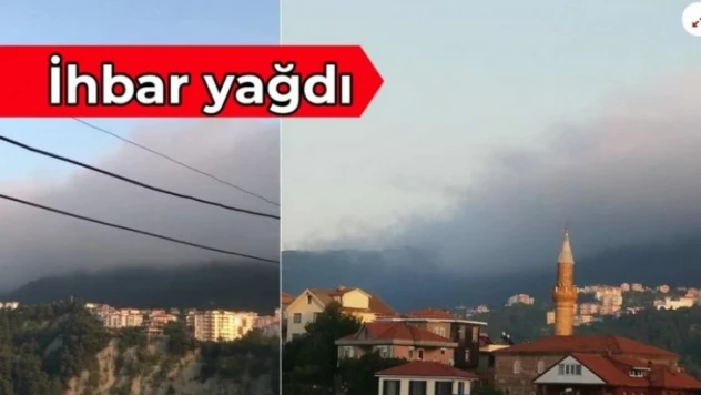 Amasra'da korkutan görüntü