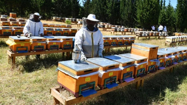 Arıcılık Destek Başvuruları İçin Askı Süreci Başladı