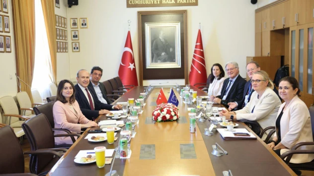 Bankoğlu, Avrupa Konseyi ile Türkiye'deki Gelişmeleri Görüştü