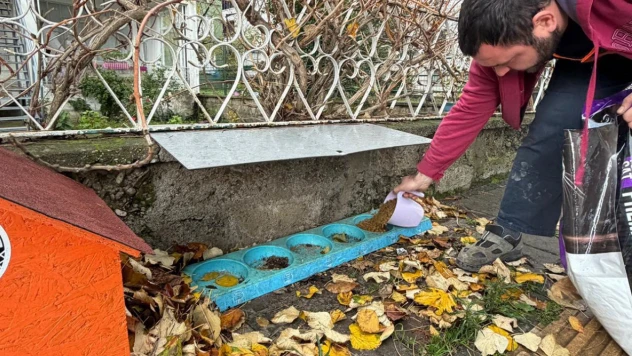 Bartın Belediyesi'nden Can Dostlara Kış Desteği