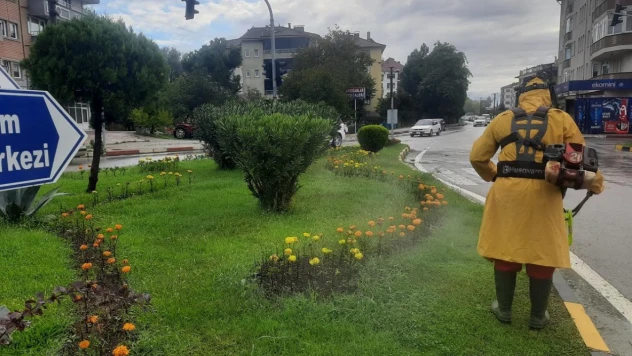 Bartın Belediyesi'nden Kent Estetiğine Katkı