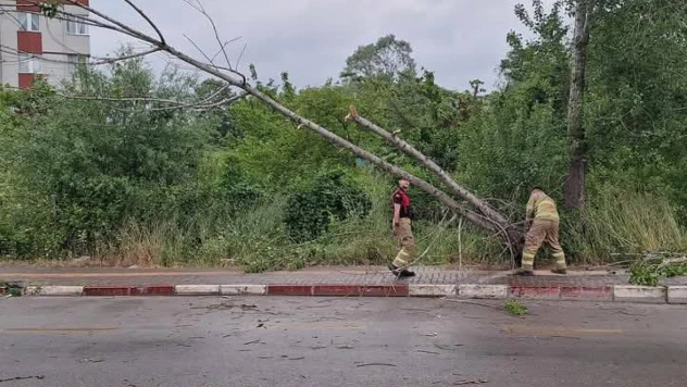 Bartın'da Fırtına Hayatı Olumsuz Etkiledi