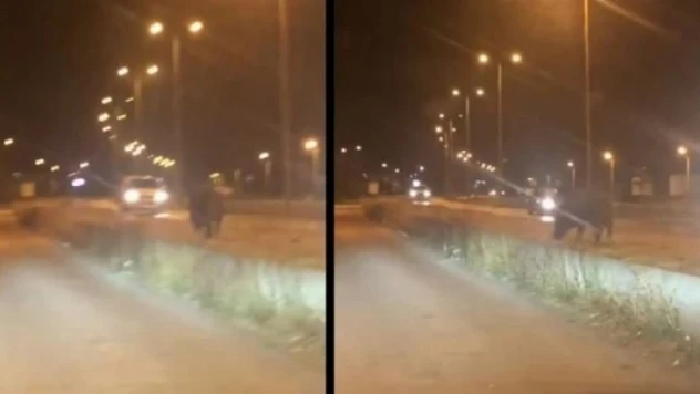 Bartın'da ilginç anlar