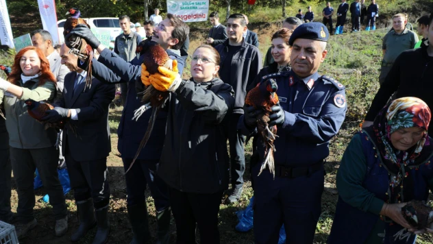 Bartın'da Kokarcaya Karşı Sülün Hamlesi