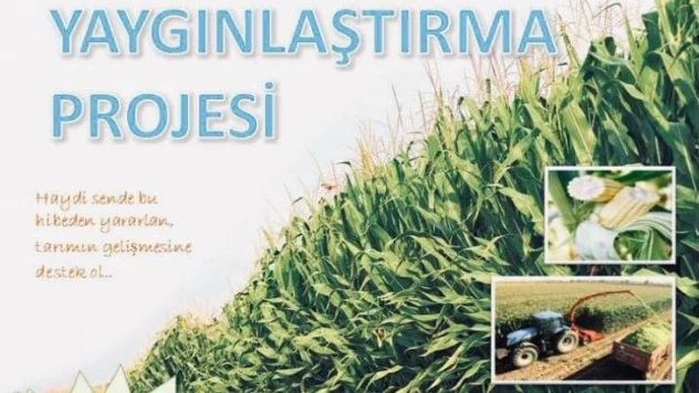 BARTIN'DA SILAJLIK VE DANE MISIR TARIMINA DESTEK