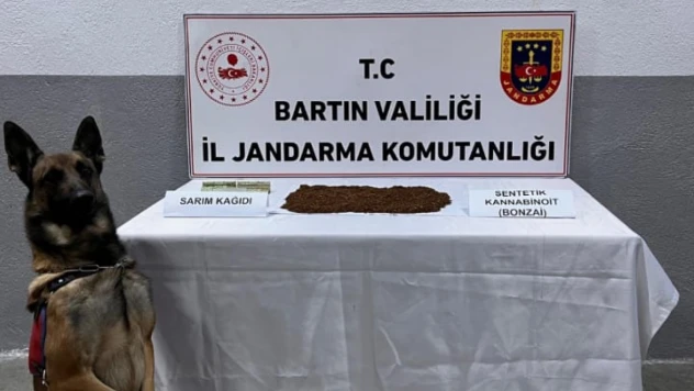 Bartın'da Uyuşturucu Operasyonu: 1 Kişi Tutuklandı