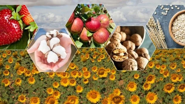 Bartın ve Türkiye genelinde tarımsal üretimde düşüş bekleniyor