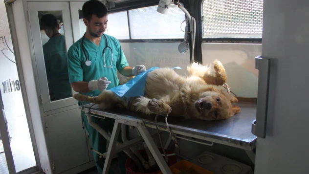 Başkan Çakır'dan Eleştirilere Yanıt