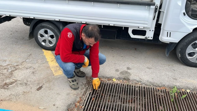Belediyeden Hamam Böceği ve Kemirgen Mücadelesi