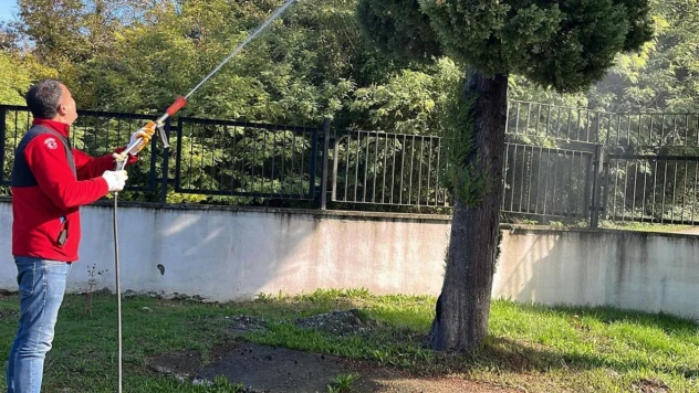 Belediyeden Kahverengi Kokarcaya Karşı Yoğun Mücadele